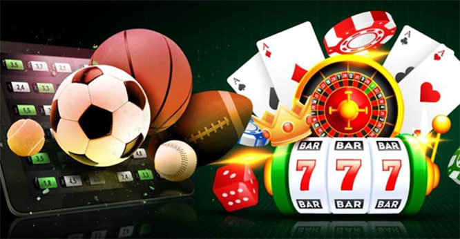 Exciting Live Games With Tip & Win Options Await You Exciting Live Games With Tip & Win Options Await You