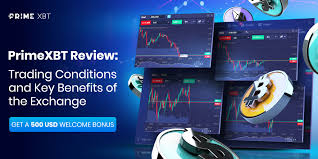 Exclusive Savings Discover the Best Promo Codes PrimeXBT